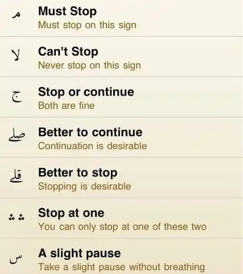 The Importance of Correct Pauses and Start in Quran Recitation