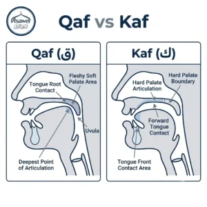 Qaf vs kaf makharij Qaf vs kaf makharij