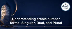 arabic number forms — Understanding arabic number forms: Singular, Dual, and Plural
