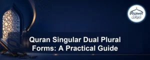 quran singular dual plural forms — Quran Singular Dual Plural Forms: A Practical Guide