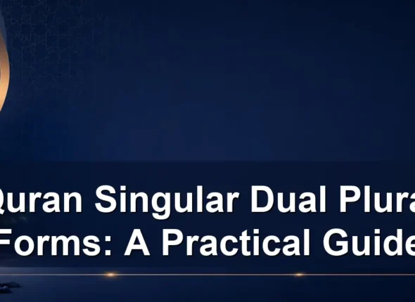 Quran Singular Dual Plural Forms: A Practical Guide